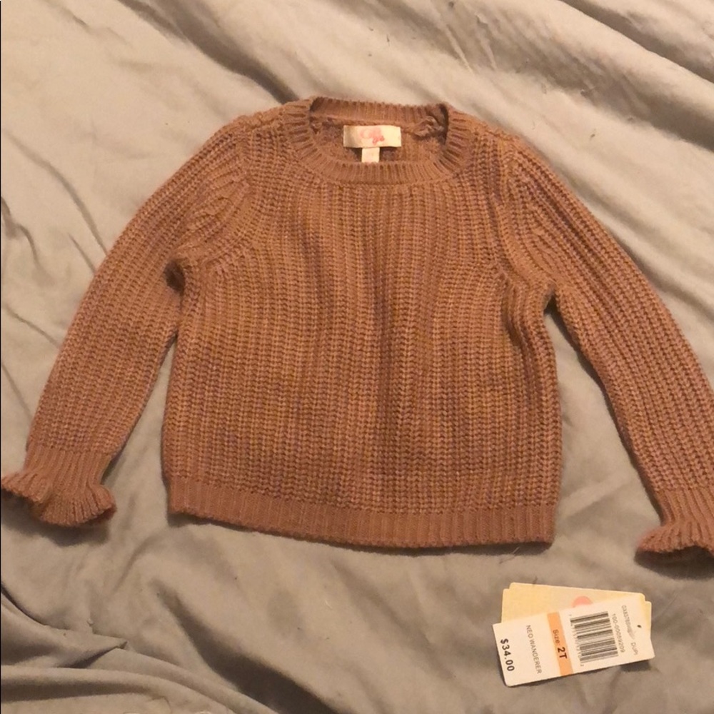 Mauve Sweater with Ruffle Sleeves